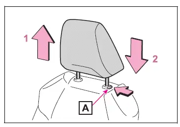 Adjusting the seats