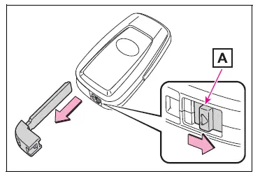 Key information